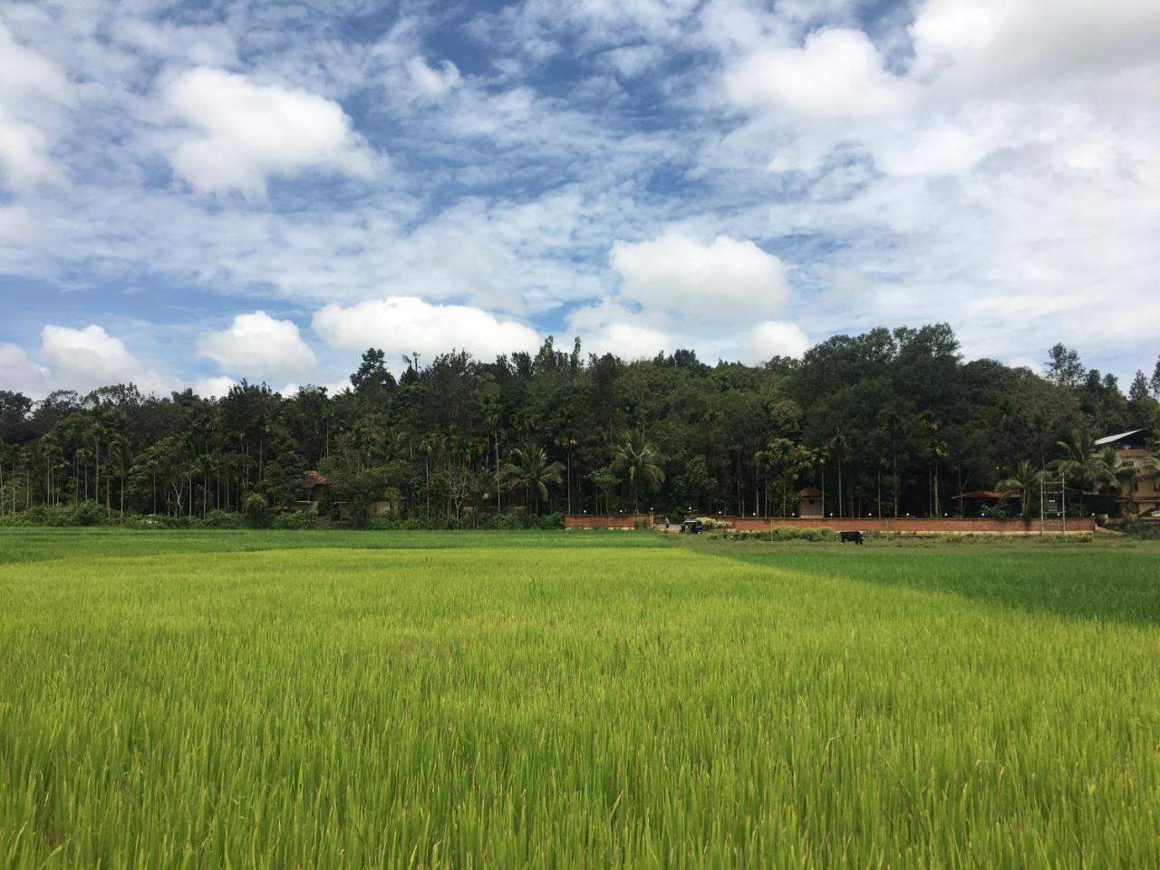 Raindrops Resorts Wayanad Sultan Bathery Exterior foto